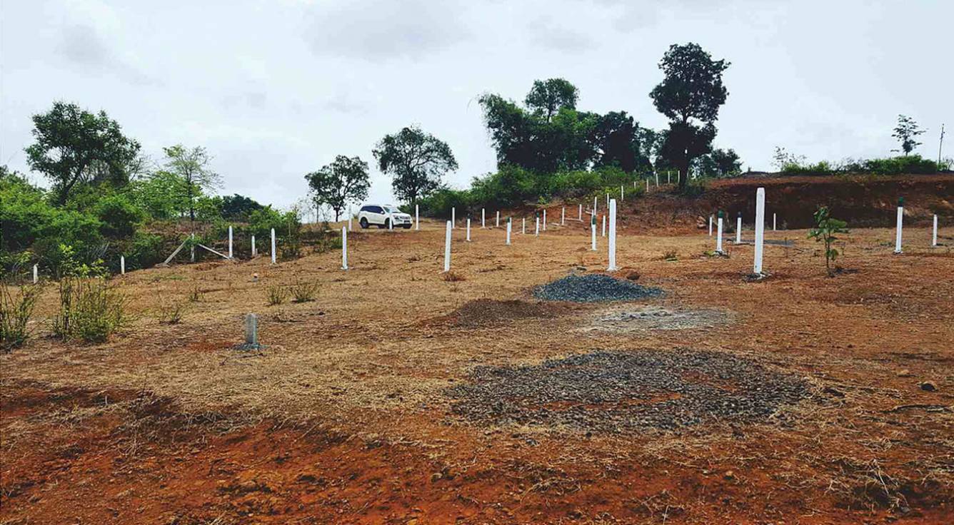 Images for Main Other of Green Morya