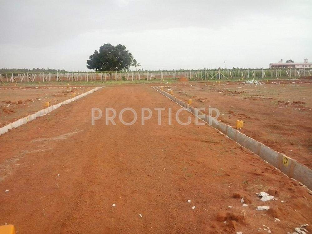 Alisha Projects Defence Enclave