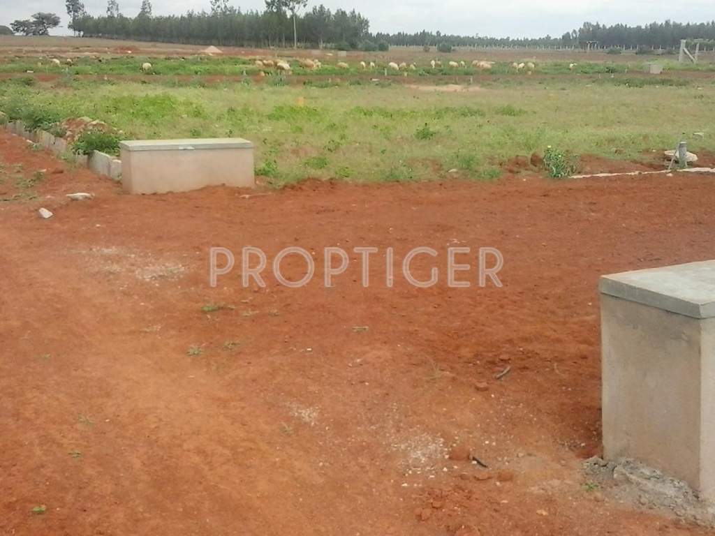 Alisha Projects Defence Enclave