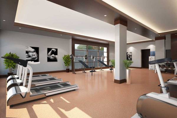 Images for Amenities of Arista Belvista