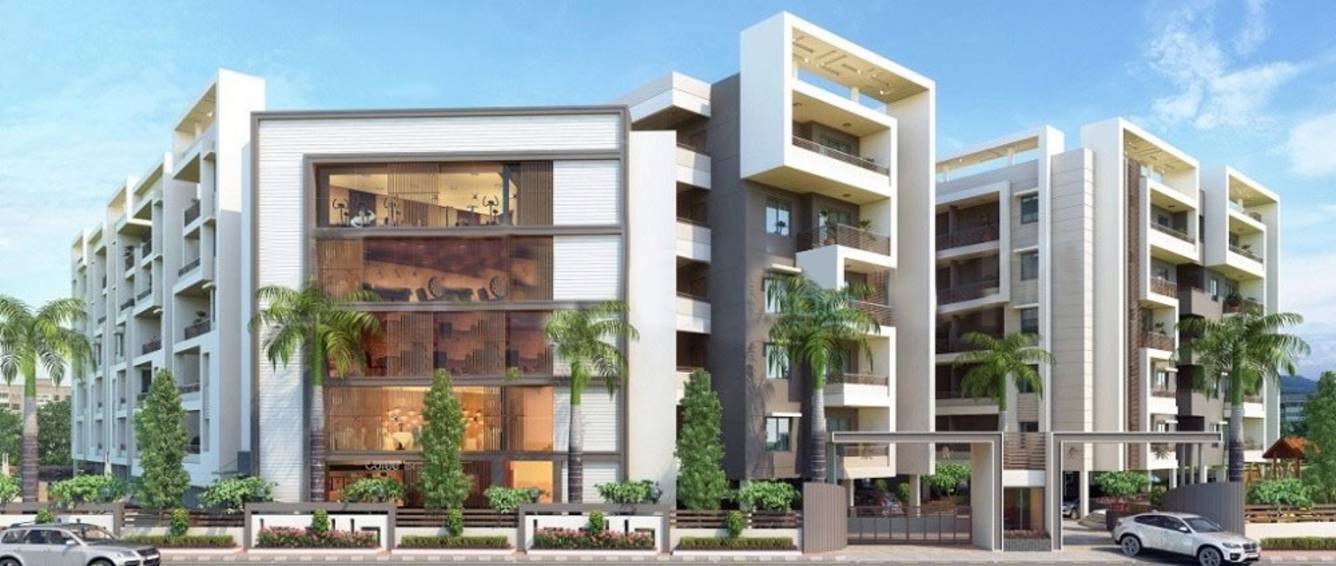 orchids Images for Elevation of Matrix Orchids