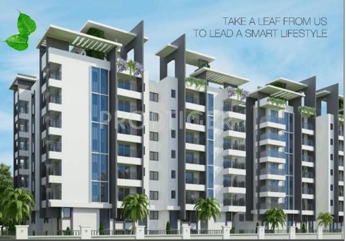 Images for Elevation of Sumo Leaves leaves Images for Elevation of Sumo Leaves