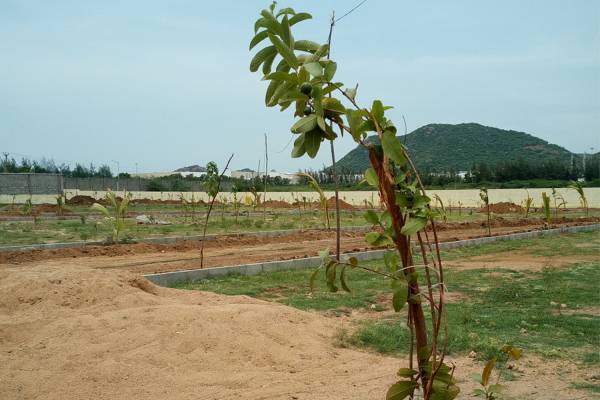 Images for Main Other of KP KP Green Meadows