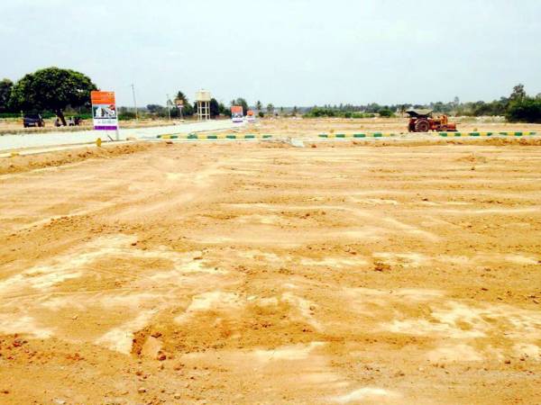 Images for Main Other of City Golden Nest Images for Main Other of City Golden Nest