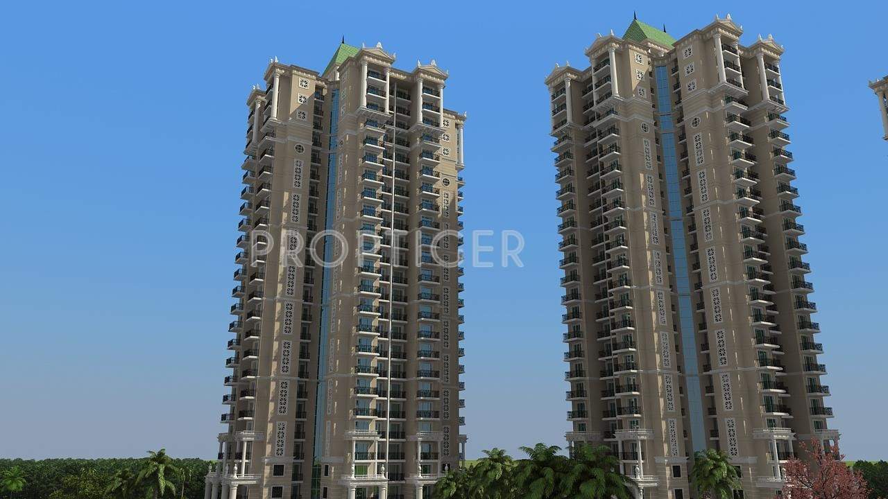  athena Images for Elevation of Capital Athena