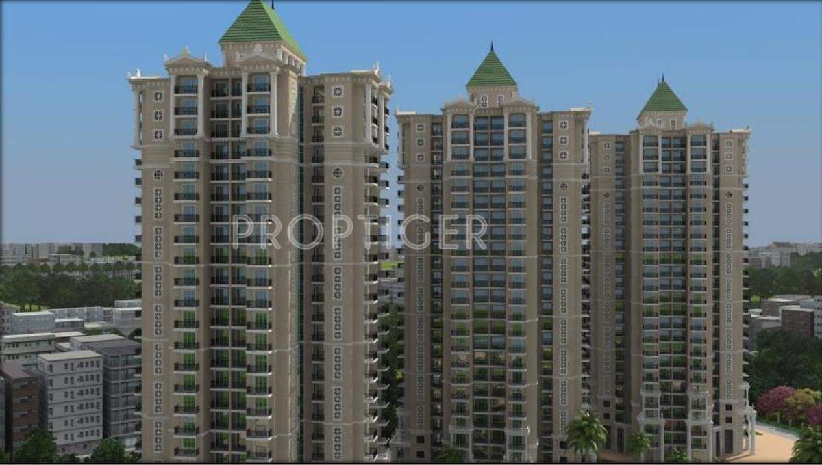  athena Images for Elevation of Capital Athena