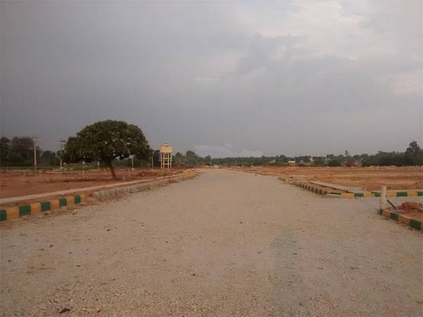 Images for Main Other of City VSR Rejoice