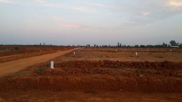 Images for Main Other of City VSR Rejoice