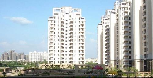 Images for Elevation of Orchid Petals petals Images for Elevation of Orchid Petals