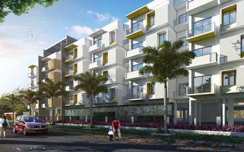  eternity Images for Elevation of Meda Eternity