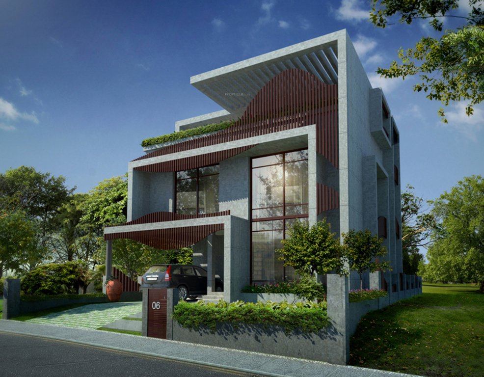 Images for Elevation of Melon Waves