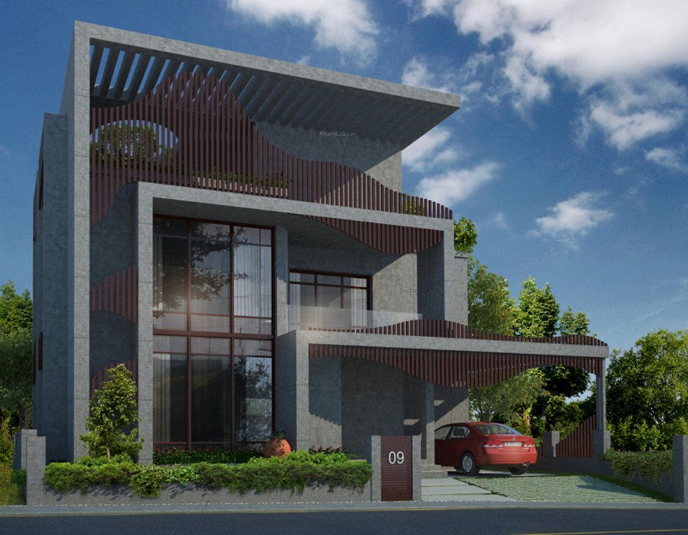 Images for Elevation of Melon Waves