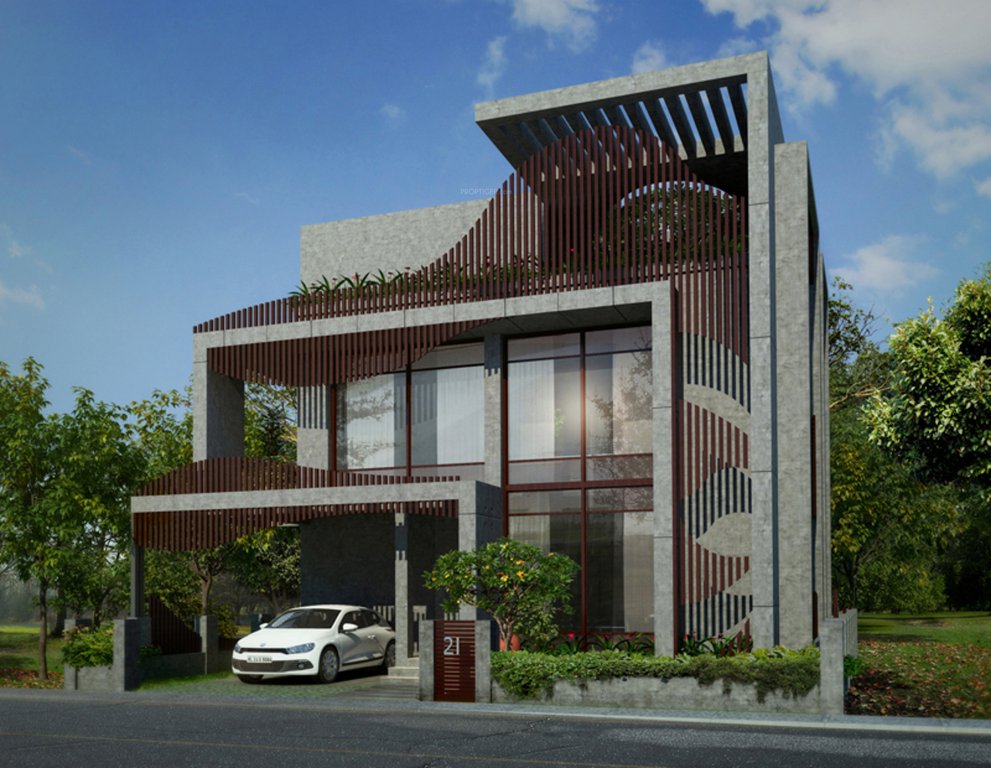 Images for Elevation of Melon Waves