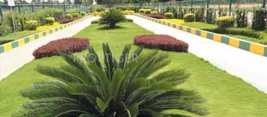 Apna Sapna Pegasus Banyan Breeze Apna Sapna Pegasus Banyan Breeze