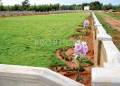 Abhyudaya Projects Prasanthi Green County