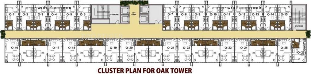golfforeste premium apartments OAK Tower Cluster Plan