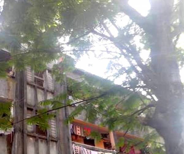 Images for Elevation of Reputed Builder Saptarshi CHS