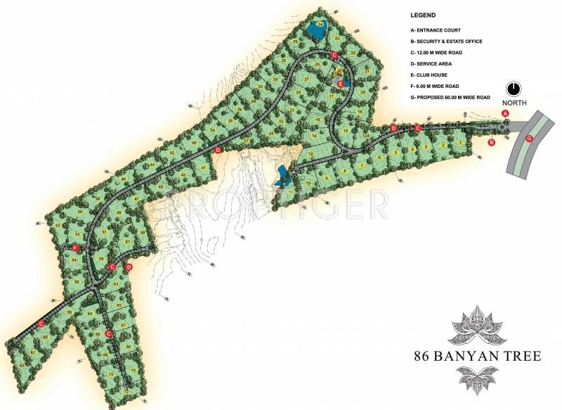 Images for Layout Plan of Panchshil 86 Banyan Tree