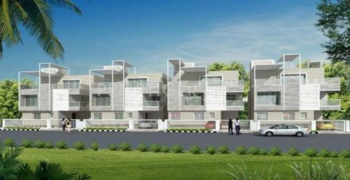  blossoms Images for Elevation of Orchid Blossoms