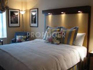 Project Image Project Image