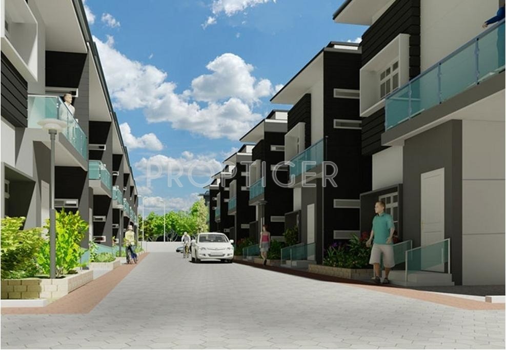 Images for Elevation of Leaders Elite Crystale Gate