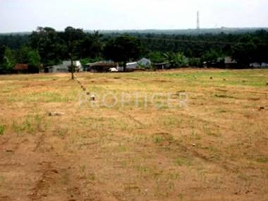  dreams Images for Elevation of Signature Dreams