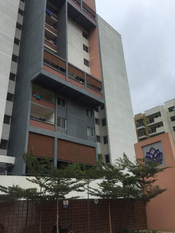  golden lotus Images for Project