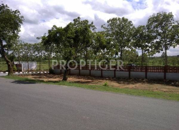 Images for Elevation of Valiant Tranquile Estancia