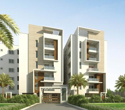  sunshine-iris Images for Elevation of Sunshine Sunshine Iris