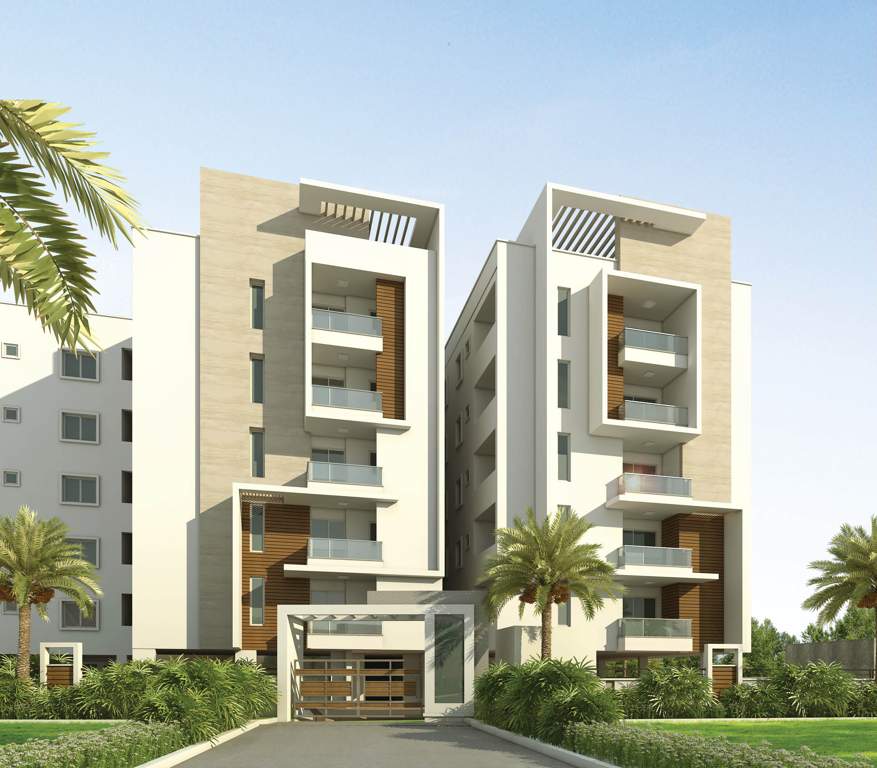  sunshine iris Images for Elevation of Sunshine Sunshine Iris