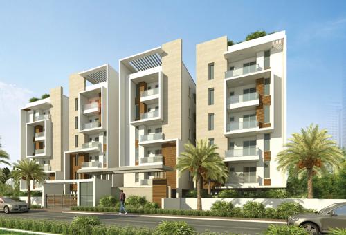 Images for Elevation of Sunshine Sunshine Iris sunshine-iris Images for Elevation of Sunshine Sunshine Iris