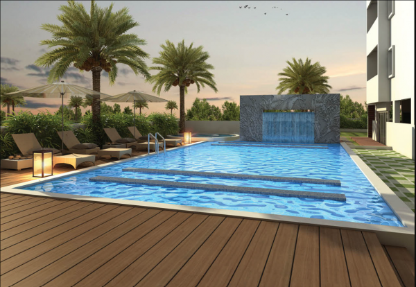 Swimming Pool iris Swimming Pool