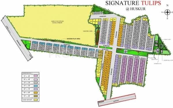 Images for Master Plan of Signature Tulips