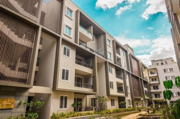 Elevation poetree Elevation