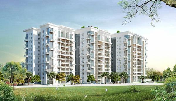 Images for Elevation of The Address The Five Summits Images for Elevation of The Address The Five Summits