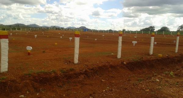 Images for Main Other of Universal Shirdi Sri Sai Nagar