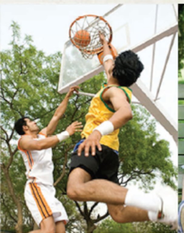 vasanthaa happy homes nest Others