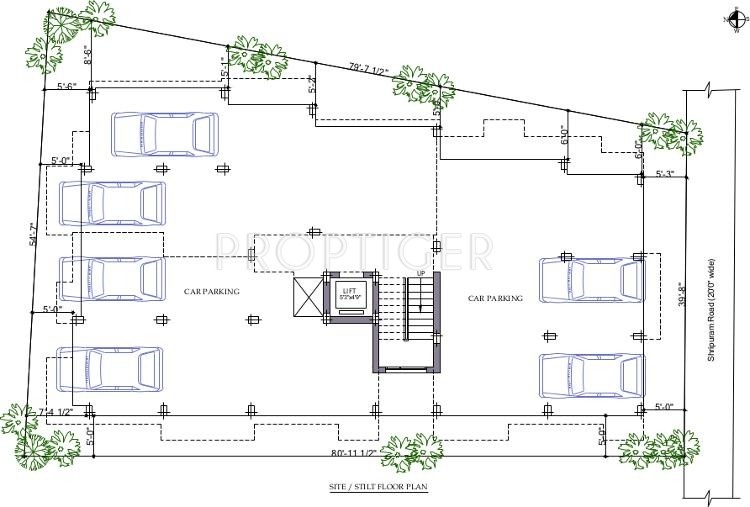 Images for Cluster Plan of Priams Green Drops