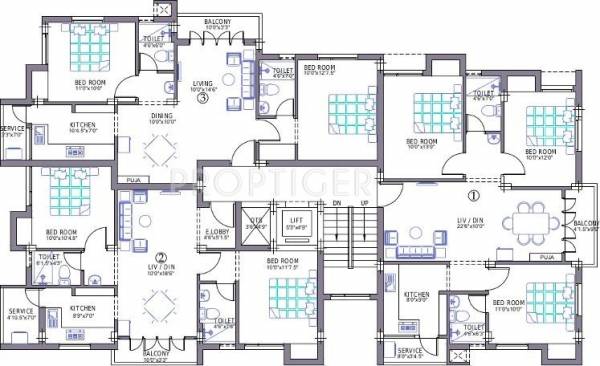 Images for Cluster Plan of Priams Green Drops