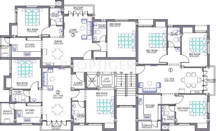 Images for Cluster Plan of Priams Green Drops