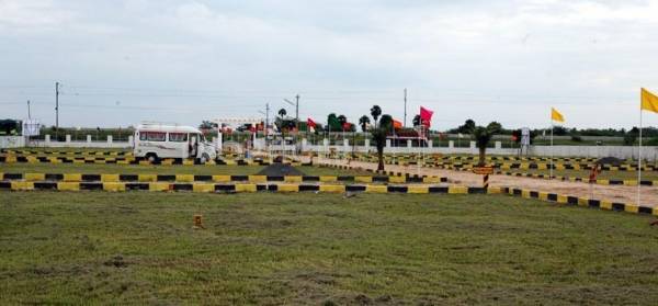 Images for Elevation of Blossom Highway City