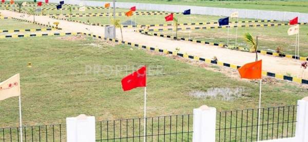 Images for Elevation of Blossom Highway City