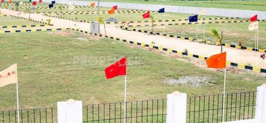 Images for Elevation of Blossom Highway City Images for Elevation of Blossom Highway City