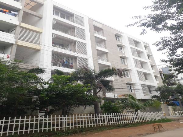 Elevation pearl Elevation