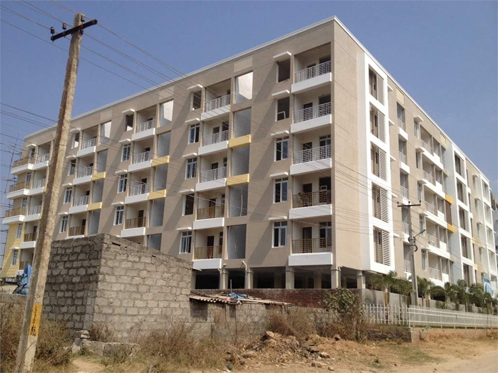  pearl Images for Elevation of Xenofive Pearl