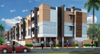 Images for Elevation of Vinoth Vidula vidula Images for Elevation of Vinoth Vidula