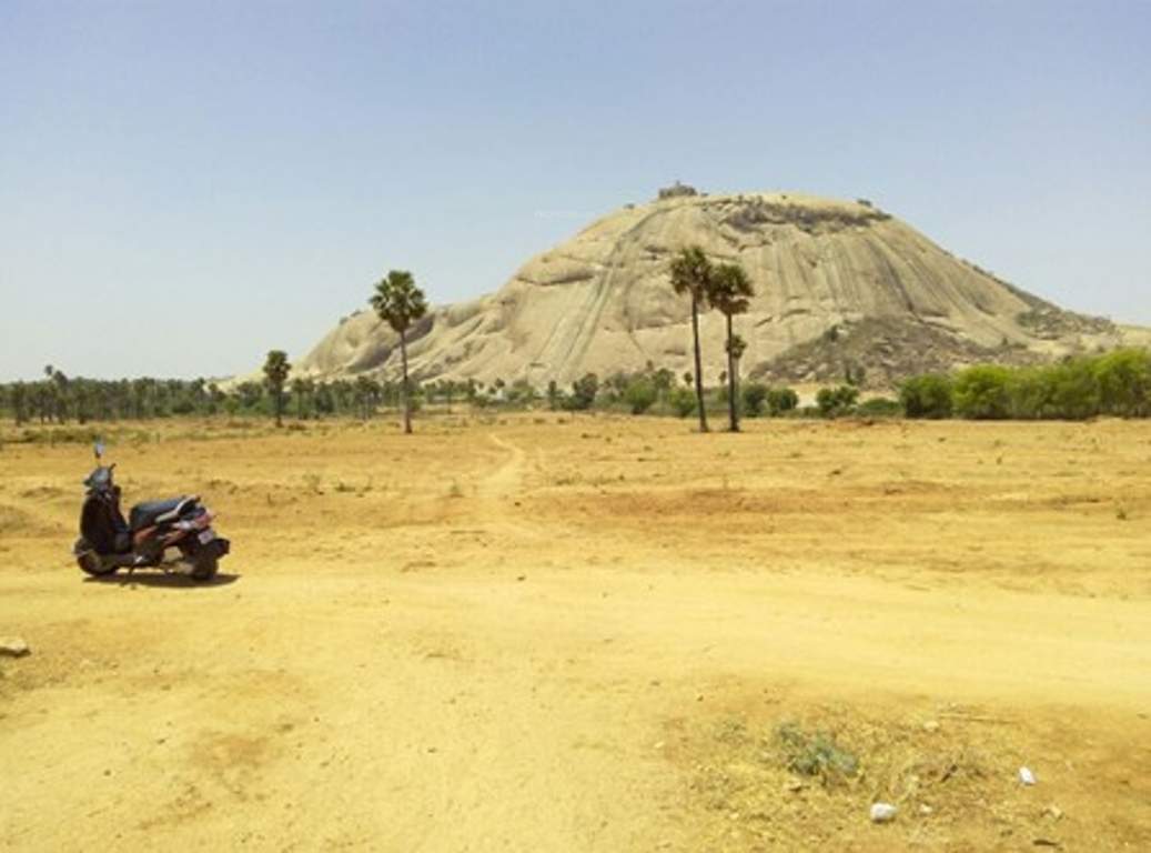  t town Images for Main Other of PVR T Town