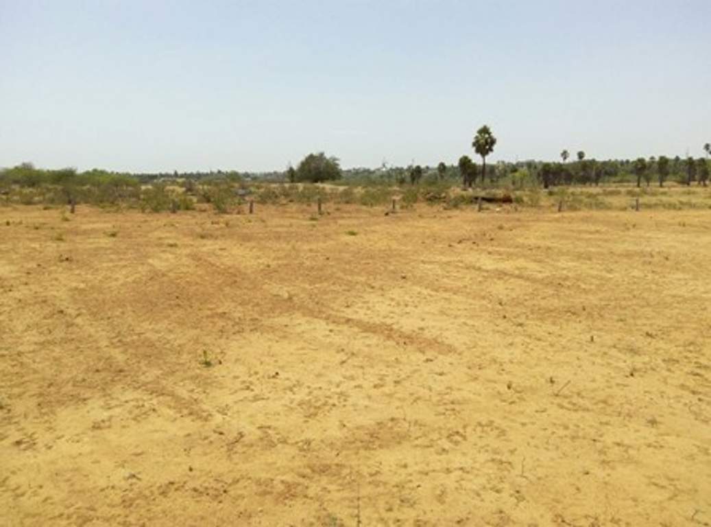  t town Images for Main Other of PVR T Town