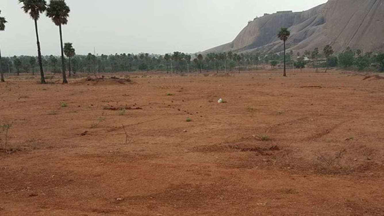  t town Images for Main Other of PVR T Town