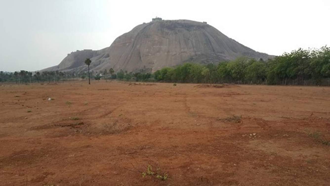  t town Images for Main Other of PVR T Town